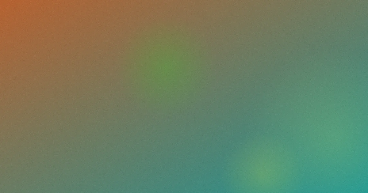 张超怎么用：实测对比版